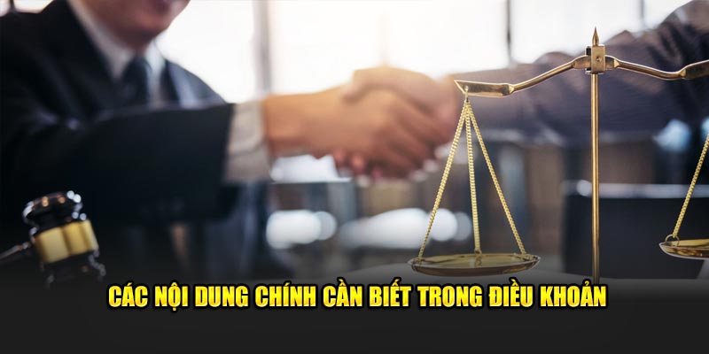 Các nội dung chính cần biết trong điều khoản