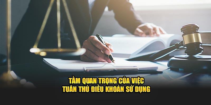 Tầm quan trọng của việc tuân thủ điều khoản New88