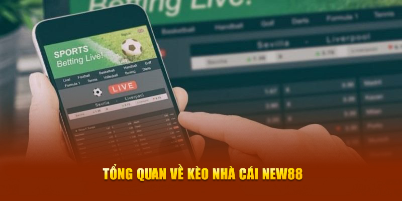 Tổng quan về kèo nhà cái New88