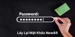 lấy lại mật khẩu New88