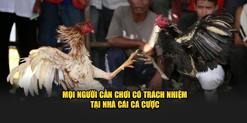Mọi người cần chơi có trách nhiệm tại nhà cái cá cược